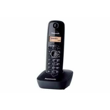 Panasonic KX-TG1611FX